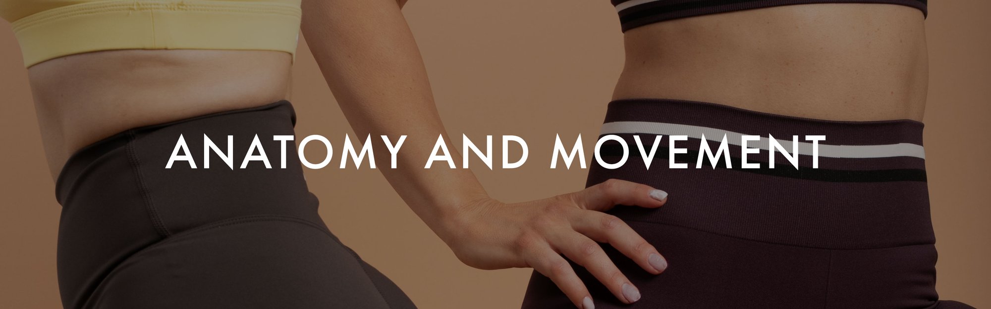 anatomy-and-movement-3